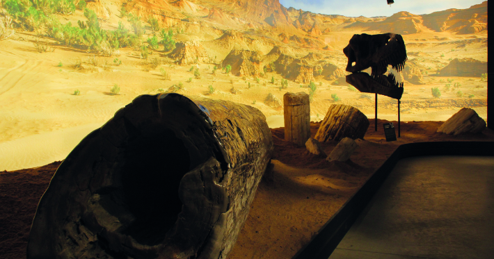 GEO MUSEU: pedras preciosas e fósseis pré-históricos na Serra Gaúcha