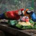 Zoológico de Cascavel recebe mais de 20 mil visitantes no mês de novembro