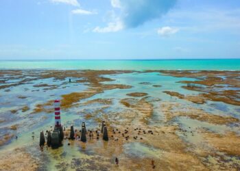 Carnaval de Maceió, segundo  (ABIH) de Alagoas, a ocupação hoteleira na cidade será em torno de 80%