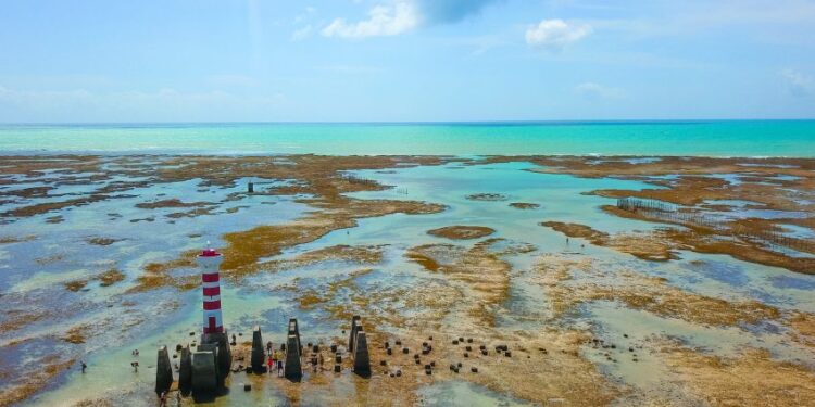 Carnaval de Maceió, segundo  (ABIH) de Alagoas, a ocupação hoteleira na cidade será em torno de 80%