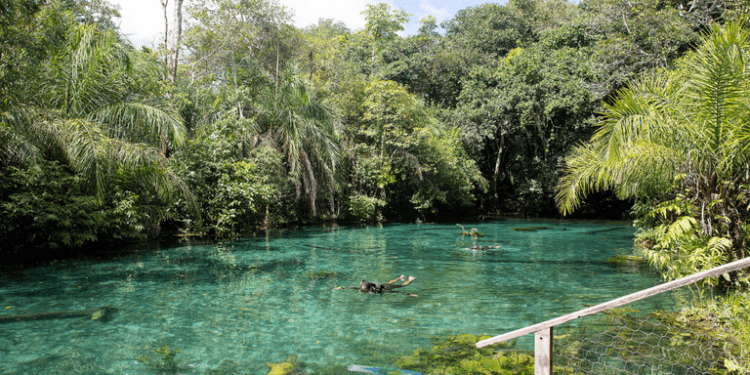 As belezas naturais e encantos de Bonito, no Mato Grosso do Sul