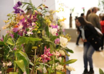 50ª Exposição Nacional de Orquídeas será de 1 a 3 de julho em Assis SP