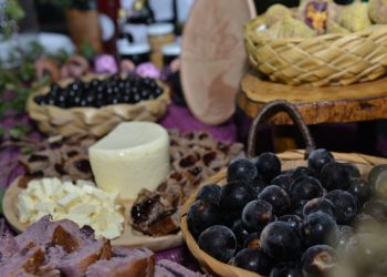Prefeitura de Palmas-TO é parceira da 4° Festa da Colheita da Jabuticaba, que acontece entre os dias 11 e 13 de novembro