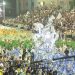 Festa e arquibancadas lotadas marcam segundo dia de desfiles do carnaval santista