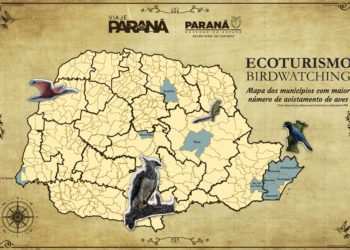 Com ações inéditas, Paraná participa de feira internacional de observação de aves, a partir desta sexta-feira (19).