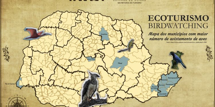 Com ações inéditas, Paraná participa de feira internacional de observação de aves, a partir desta sexta-feira (19).